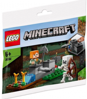 LEGO Minecraft 30394 The Skeleton Defense Lego ve Yapı Oyuncakları kullananlar yorumlar